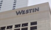 IMG_1749 IMG_1749